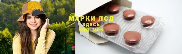 амф Зеленокумск