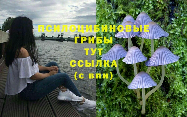 амф Зеленокумск