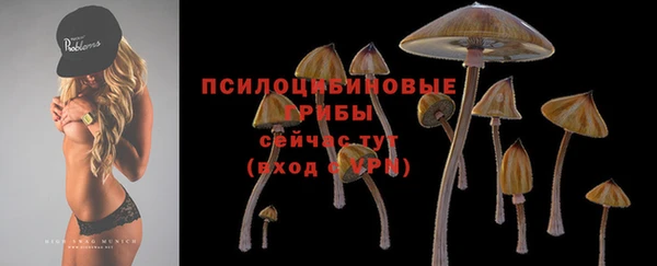 прущие крисы Зерноград