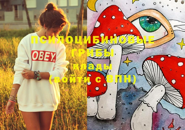 ECSTASY Зеленодольск