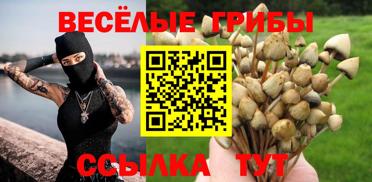 Камышлов  Галлюциногенные грибы мицелий  Вход с VPN 